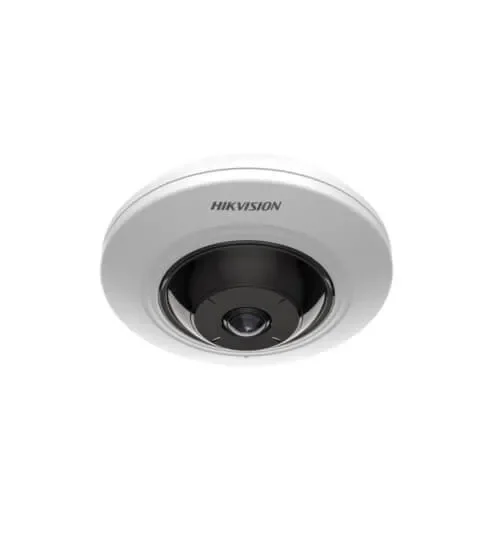 HK-DS2CD2955G0-ISU